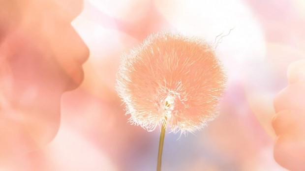 Pantone's Color of the Year 2024: Embracing Compassion and Nurture with the Serene Hue of 'Peach Fuzz 