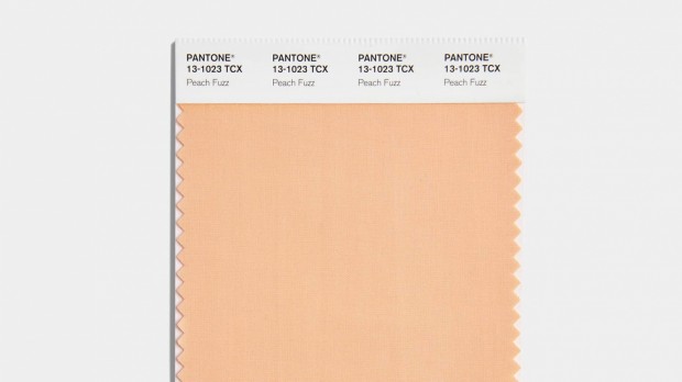 Pantone's Color of the Year 2024: Embracing Compassion and Nurture with the Serene Hue of 'Peach Fuzz 