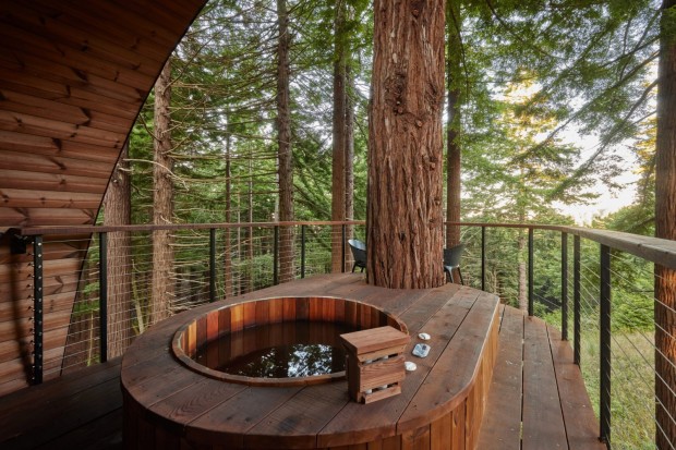 Spyglass Treehouse - A Sustainable Oasis by Artistree Home