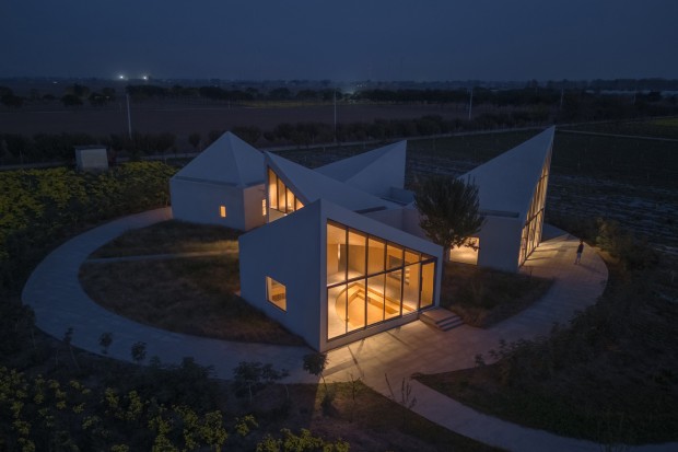 Angular Library By Atelier Xi Blooms Within Xiuwu’s Ice-Chrysanthemum Plantation