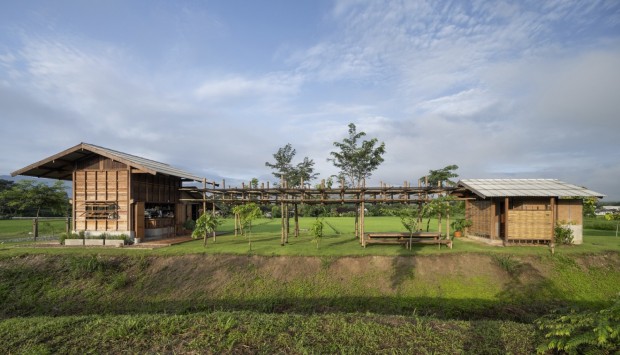 Thingamajiggy Coffee Roaster's Eco-Friendly Design Within Thailand's Lush Landscape