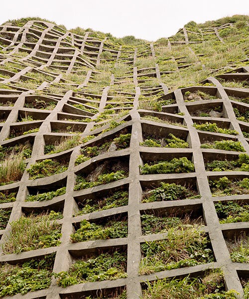 'Brutalist Plants' Photography Book Captures the Essence of Eco-Brutalism in Urban Landscapes