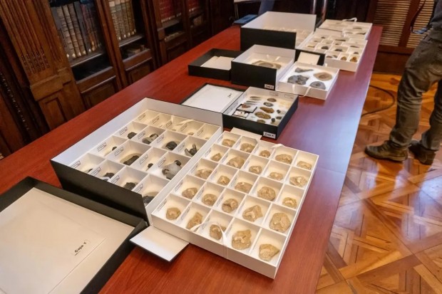 Chile Authorities Returns 117 Fossils to Morocco in Joint Effort Against Illicit Trafficking
