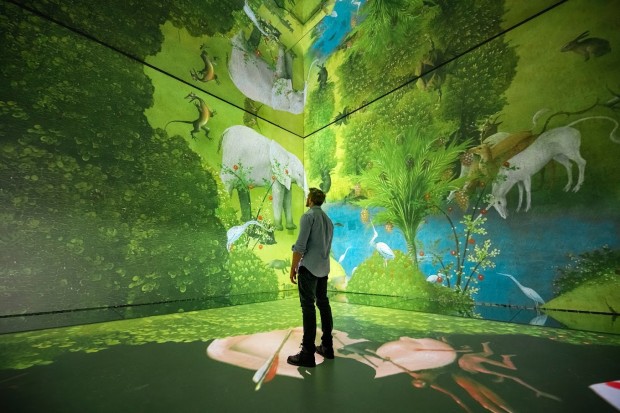 Top 5 Immersive Art Experiences in the World