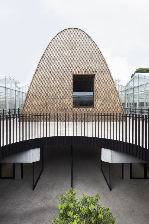 Meise Botanic Garden’s Green Ark: A Hyperboloid Greenhouse Complex With Over 10,000 Endangered Plants