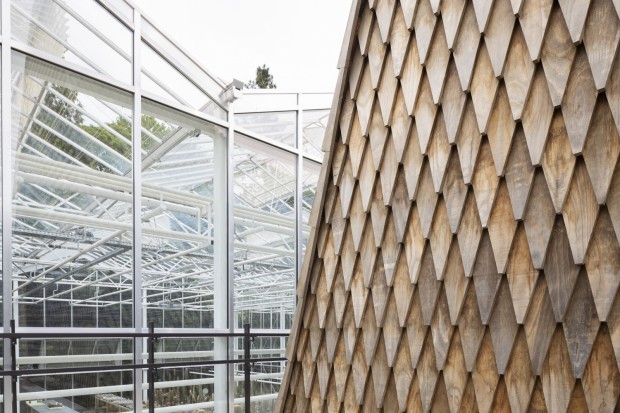 Meise Botanic Garden’s Green Ark: A Hyperboloid Greenhouse Complex With Over 10,000 Endangered Plants