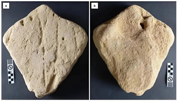 Ancient Stingray Sculpture Discovery Rewrites Early Human Artistic Evolution