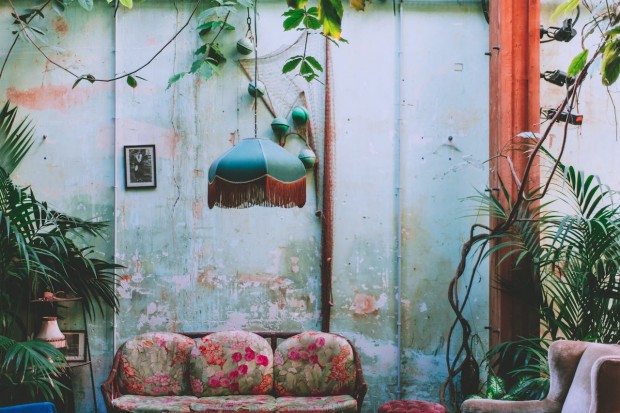 Green plants in shabby room interior