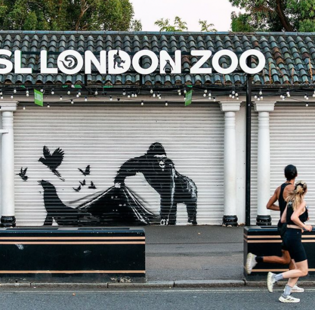 Banksy's Gorilla Mural