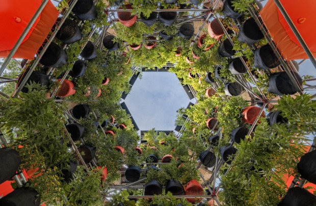 Harvard GSD Inaugurates Polinature, a Plug-In Public Space to Transform Urban Climates