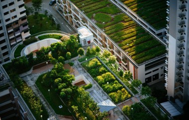Urban Gardening and Biophilic Interior Design Trends Take Center Stage in 2024