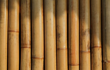 Exploring Bamboo’s Boundless Potential in Interior Design