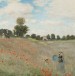 Monet’s Masterpiece "The Poppy Field" Vandalized by Climate Activist at Musée d’Orsay