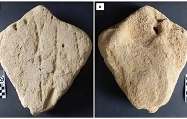 Ancient Stingray Sculpture Discovery Rewrites Early Human Artistic Evolution