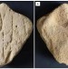 Ancient Stingray Sculpture Discovery Rewrites Early Human Artistic Evolution