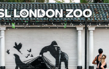 Banksy's Gorilla Mural