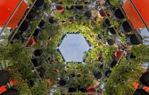 Harvard GSD Inaugurates Polinature, a Plug-In Public Space to Transform Urban Climates